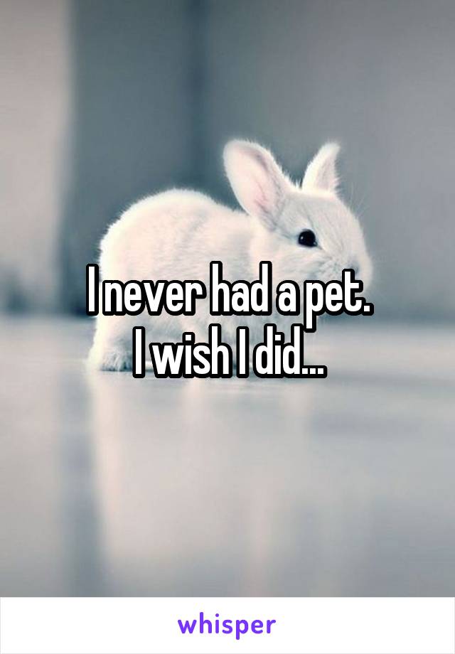 I never had a pet.
I wish I did...