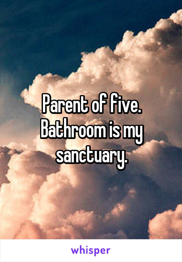 Parent of five. Bathroom is my sanctuary.