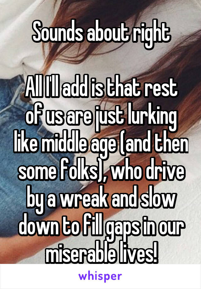 Sounds about right

All I'll add is that rest of us are just lurking like middle age (and then some folks), who drive by a wreak and slow down to fill gaps in our miserable lives!
