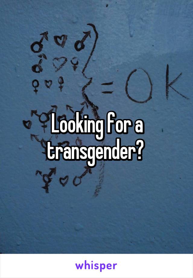 Looking for a transgender? 