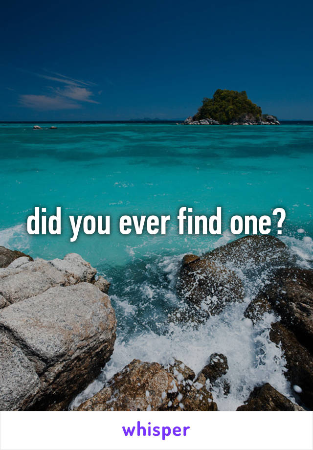did you ever find one?