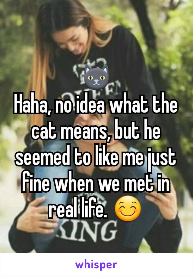 🐱
Haha, no idea what the cat means, but he seemed to like me just fine when we met in real life. 😊