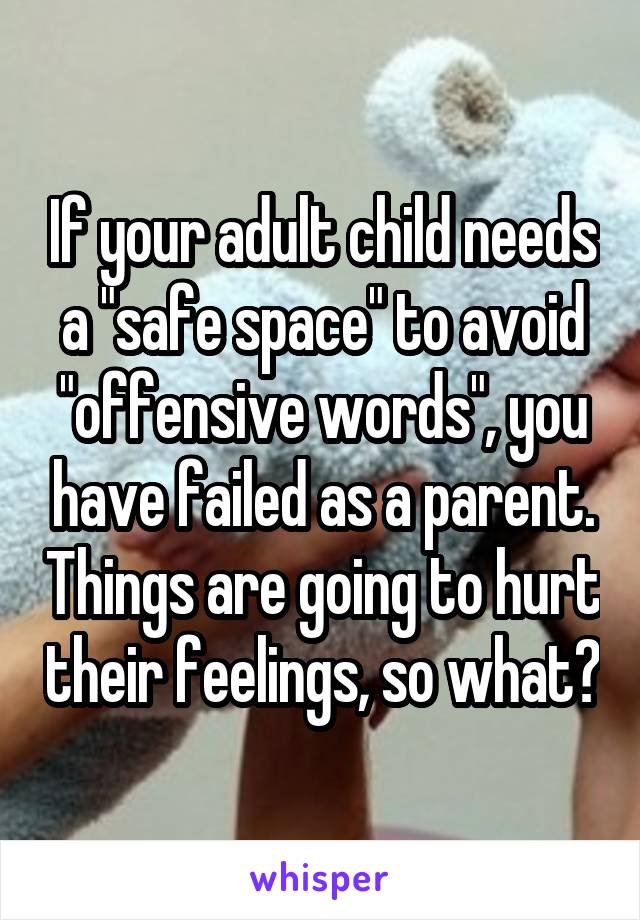 If your adult child needs a "safe space" to avoid "offensive words", you have failed as a parent. Things are going to hurt their feelings, so what?