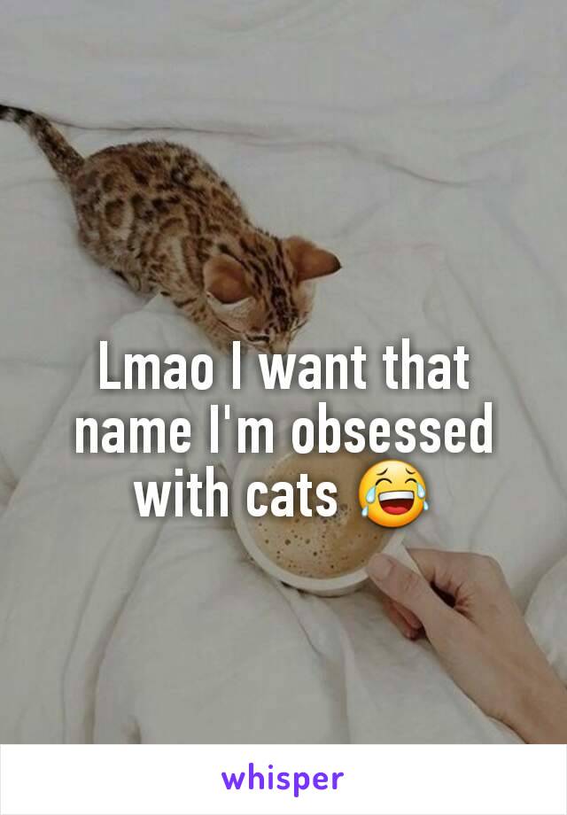 Lmao I want that name I'm obsessed with cats 😂