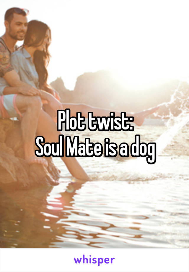 Plot twist:
Soul Mate is a dog