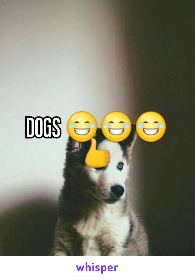 DOGS 😂😂😂👍