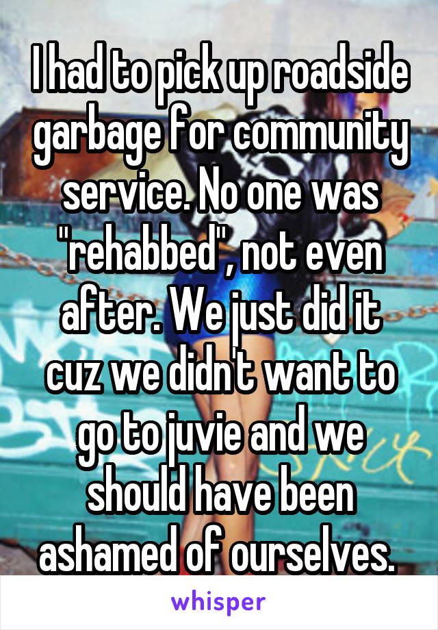 I had to pick up roadside garbage for community service. No one was "rehabbed", not even after. We just did it cuz we didn't want to go to juvie and we should have been ashamed of ourselves. 