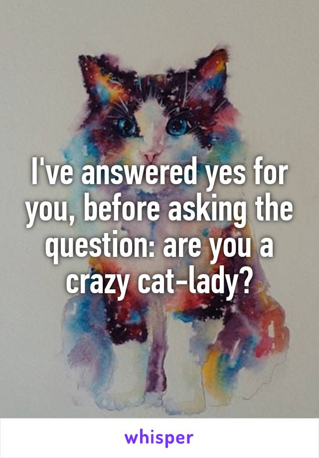 I've answered yes for you, before asking the question: are you a crazy cat-lady?