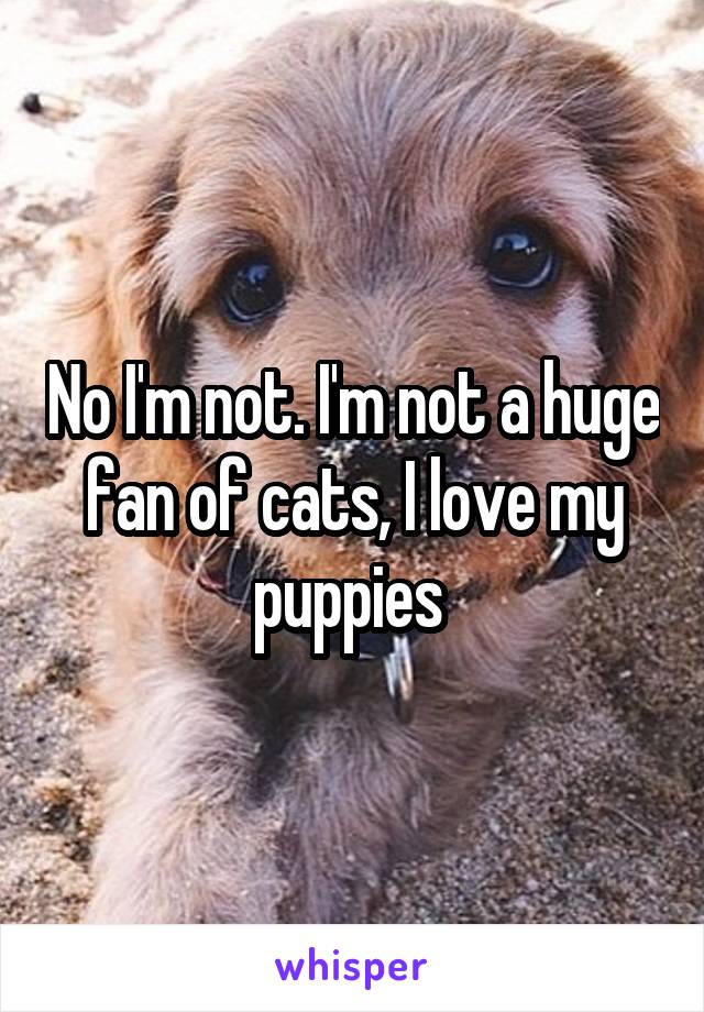 No I'm not. I'm not a huge fan of cats, I love my puppies 