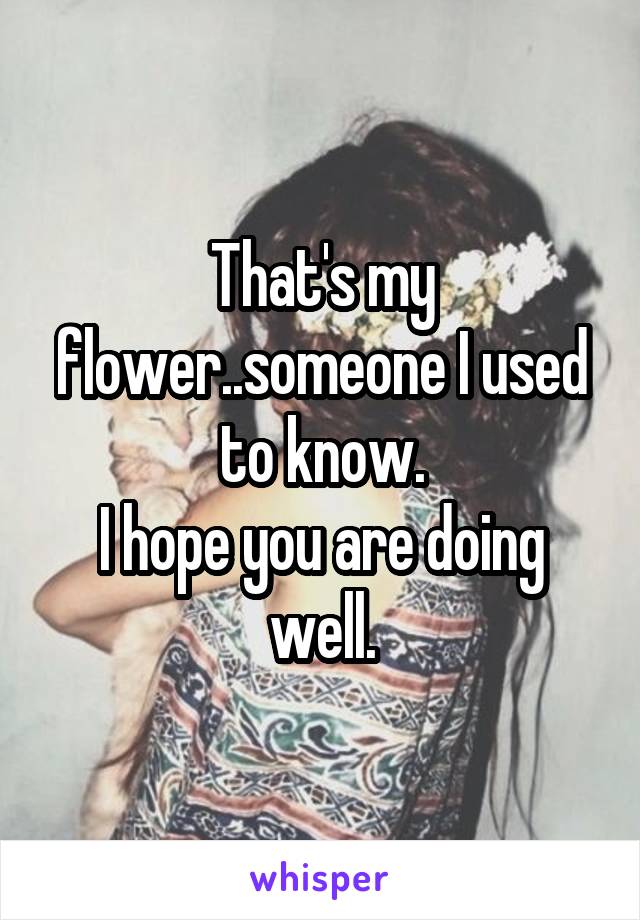 That's my flower..someone I used to know.
I hope you are doing well.