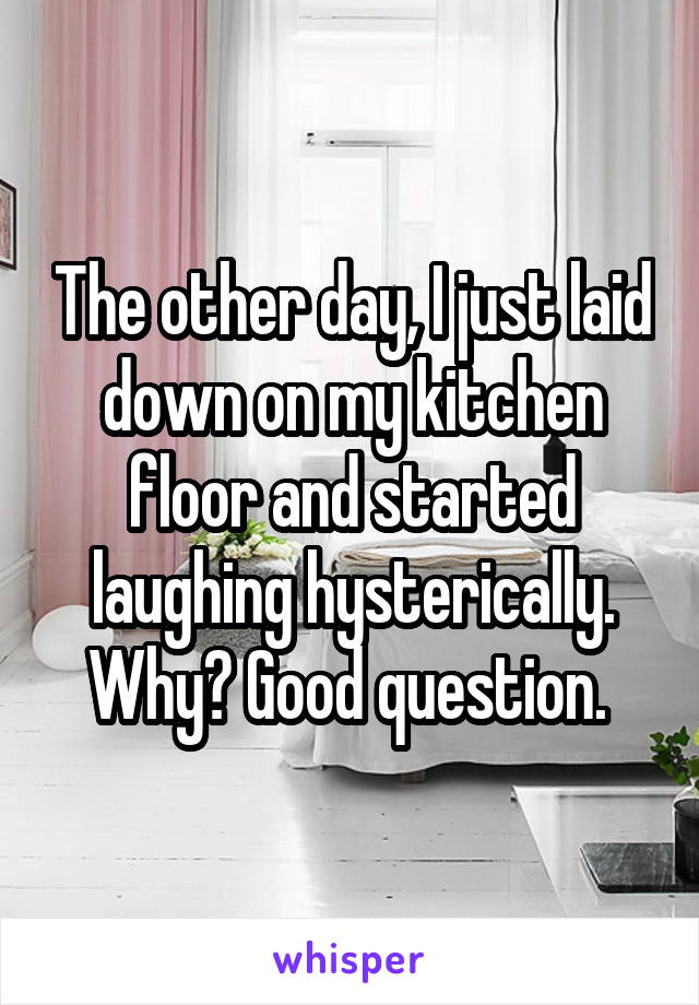 The other day, I just laid down on my kitchen floor and started laughing hysterically. Why? Good question. 