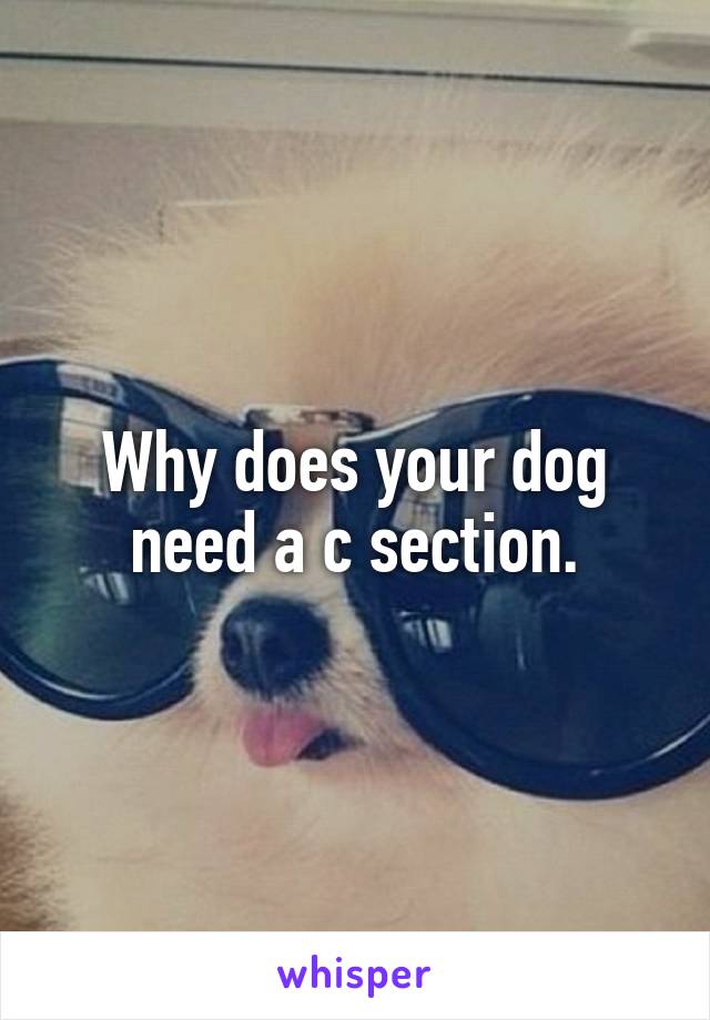 Why does your dog need a c section.