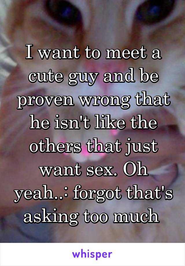 I want to meet a cute guy and be proven wrong that he isn't like the others that just want sex. Oh yeah..: forgot that's asking too much 