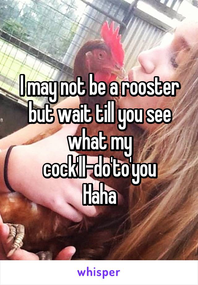 I may not be a rooster but wait till you see what my cock'll-do'to'you
Haha