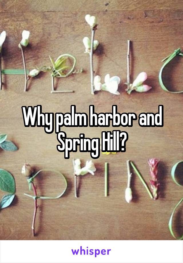Why palm harbor and Spring Hill?