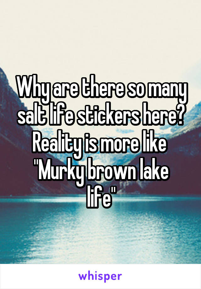 Why are there so many salt life stickers here? Reality is more like 
"Murky brown lake life"
