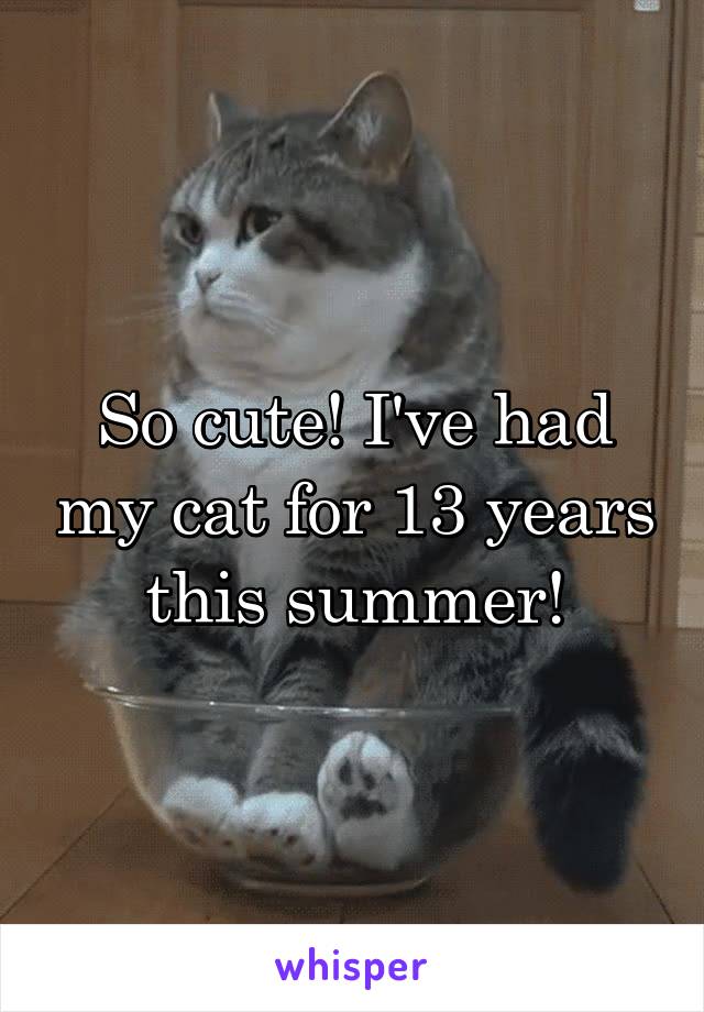 So cute! I've had my cat for 13 years this summer!