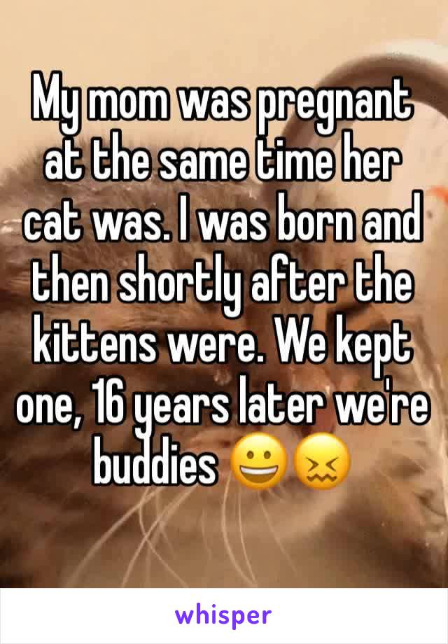 My mom was pregnant at the same time her cat was. I was born and then shortly after the kittens were. We kept one, 16 years later we're buddies 😀😖