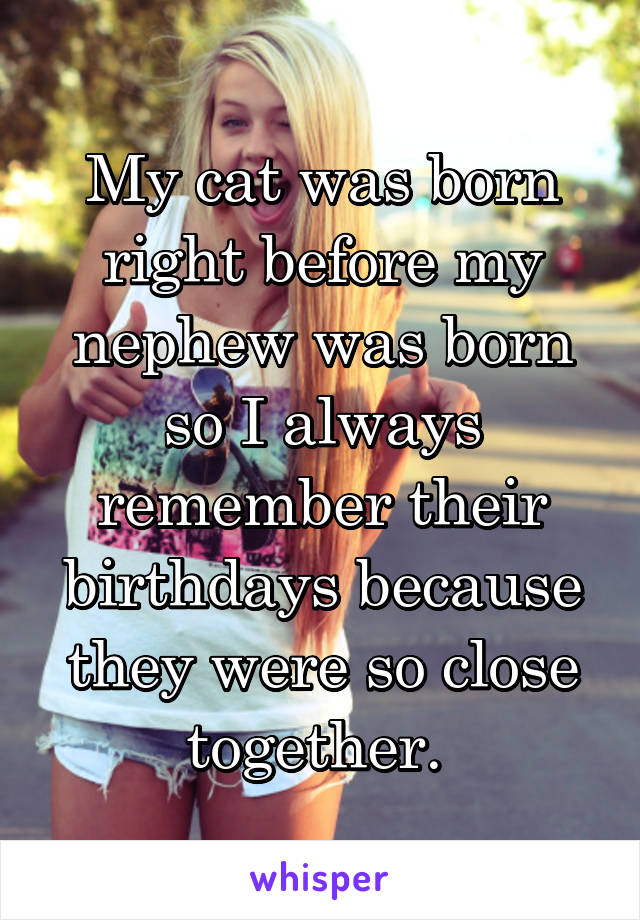 My cat was born right before my nephew was born so I always remember their birthdays because they were so close together. 