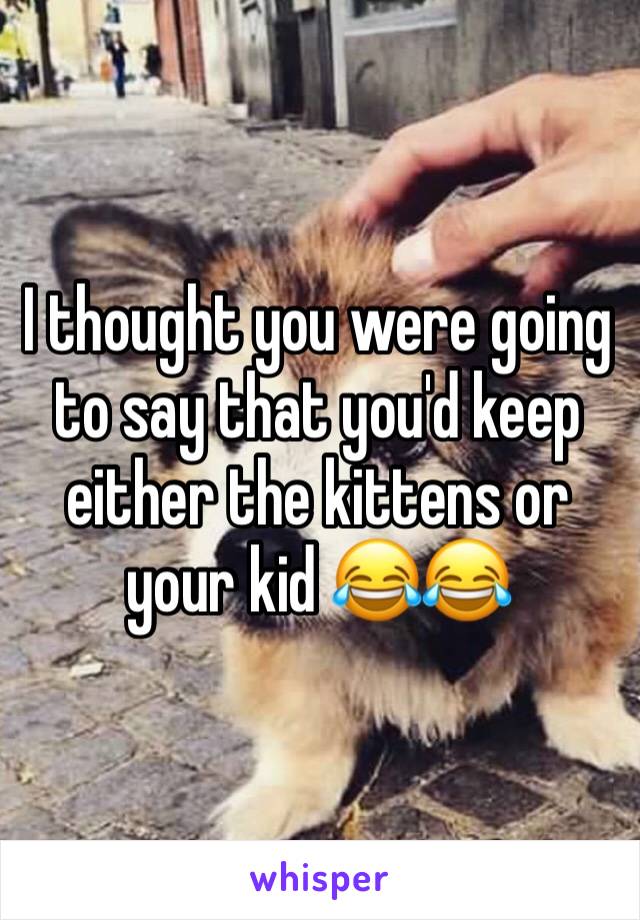 I thought you were going to say that you'd keep either the kittens or your kid 😂😂
