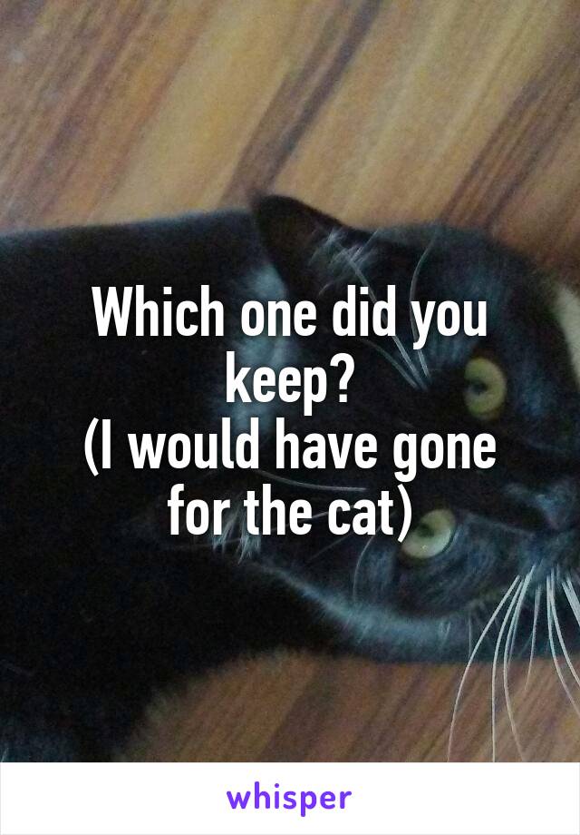 Which one did you keep?
(I would have gone for the cat)