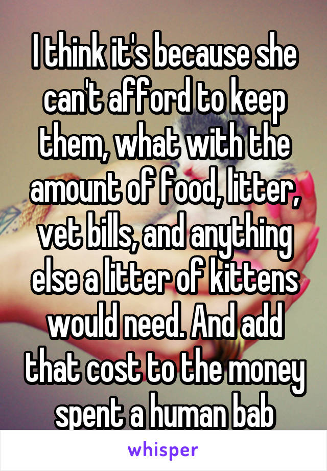 I think it's because she can't afford to keep them, what with the amount of food, litter, vet bills, and anything else a litter of kittens would need. And add that cost to the money spent a human bab