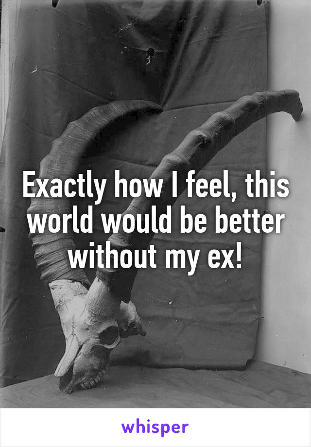 Exactly how I feel, this world would be better without my ex!