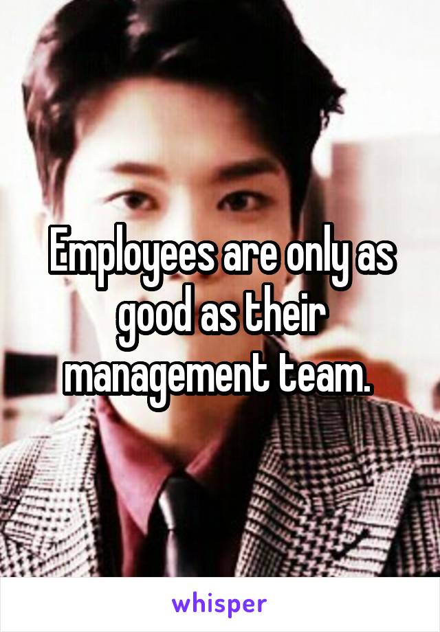 Employees are only as good as their management team. 
