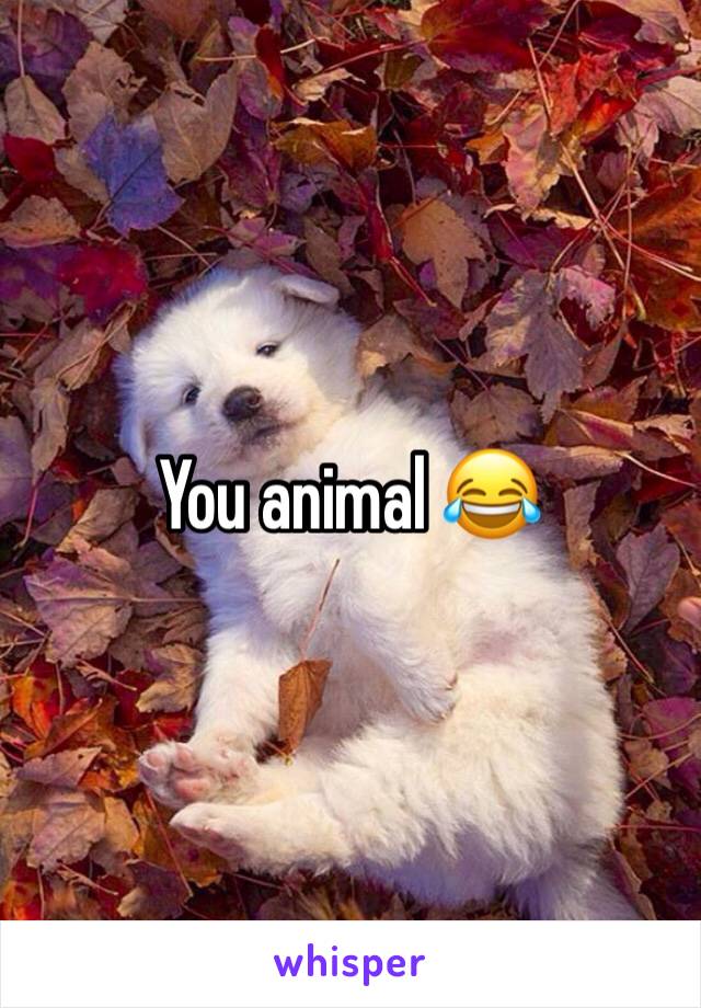 You animal 😂