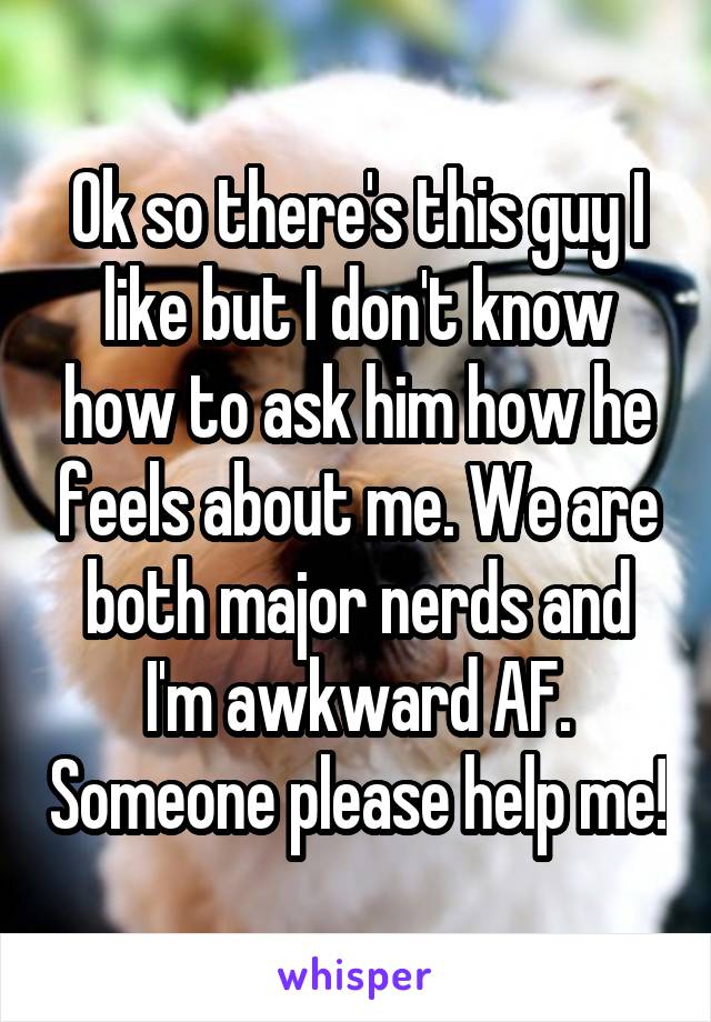 Ok so there's this guy I like but I don't know how to ask him how he feels about me. We are both major nerds and I'm awkward AF. Someone please help me!