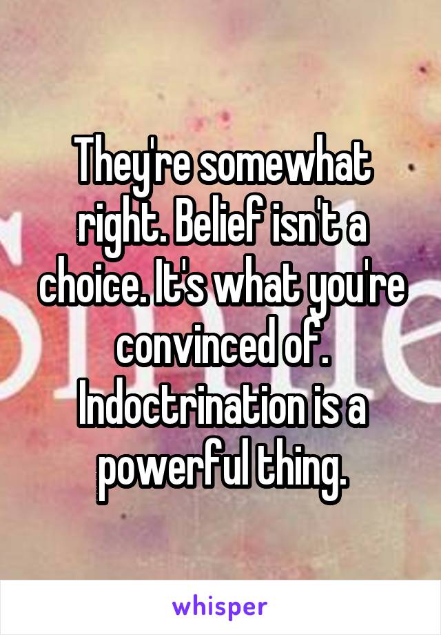They're somewhat right. Belief isn't a choice. It's what you're convinced of. Indoctrination is a powerful thing.