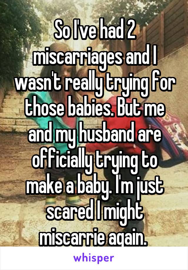 So I've had 2 miscarriages and I wasn't really trying for those babies. But me and my husband are officially trying to make a baby. I'm just scared I might miscarrie again. 