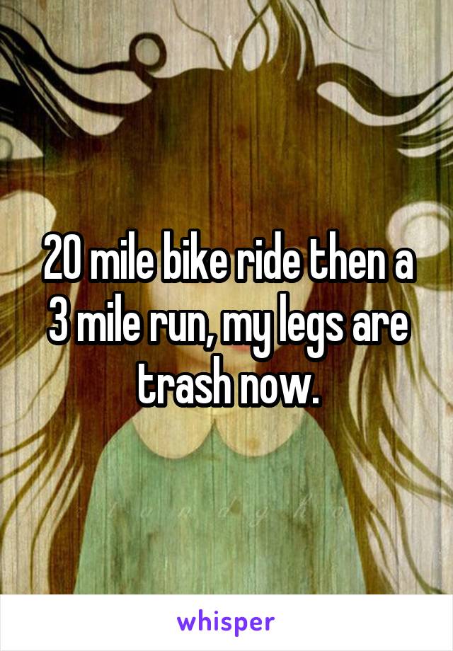 20 mile bike ride then a 3 mile run, my legs are trash now.