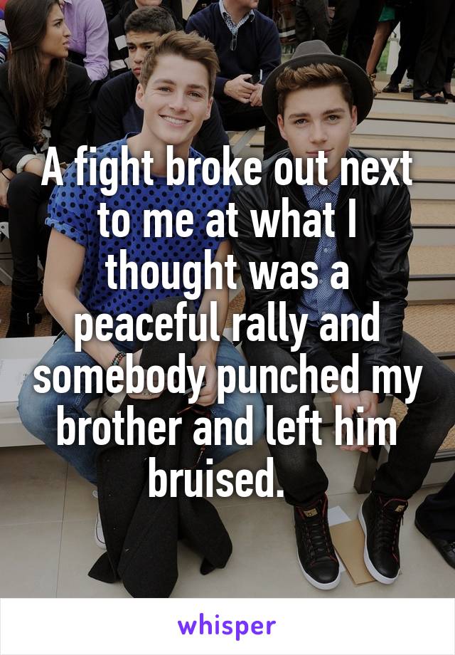 A fight broke out next to me at what I thought was a peaceful rally and somebody punched my brother and left him bruised.  