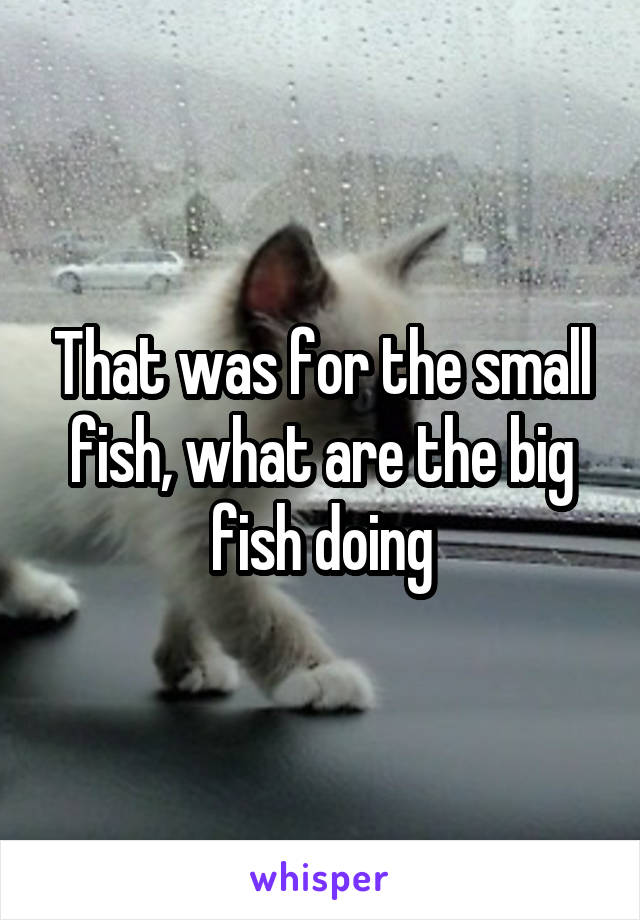 That was for the small fish, what are the big fish doing