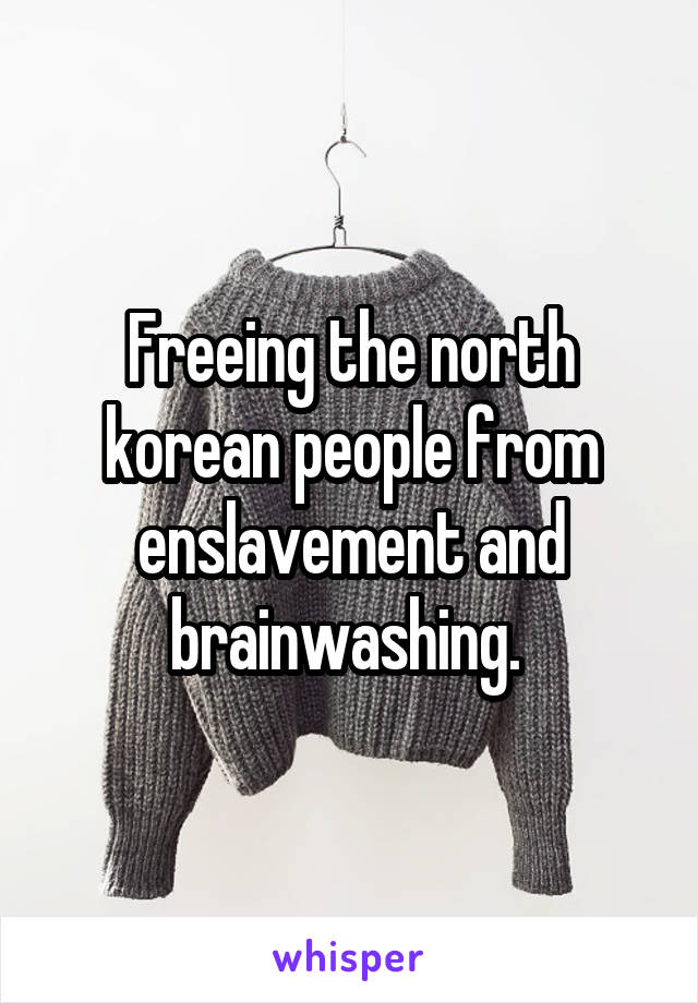 Freeing the north korean people from enslavement and brainwashing. 