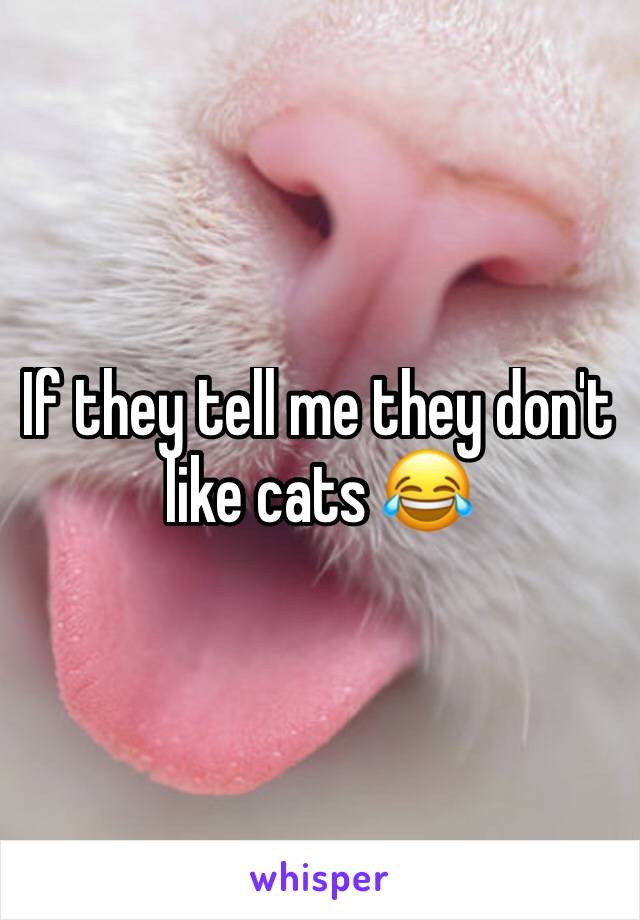 If they tell me they don't like cats 😂