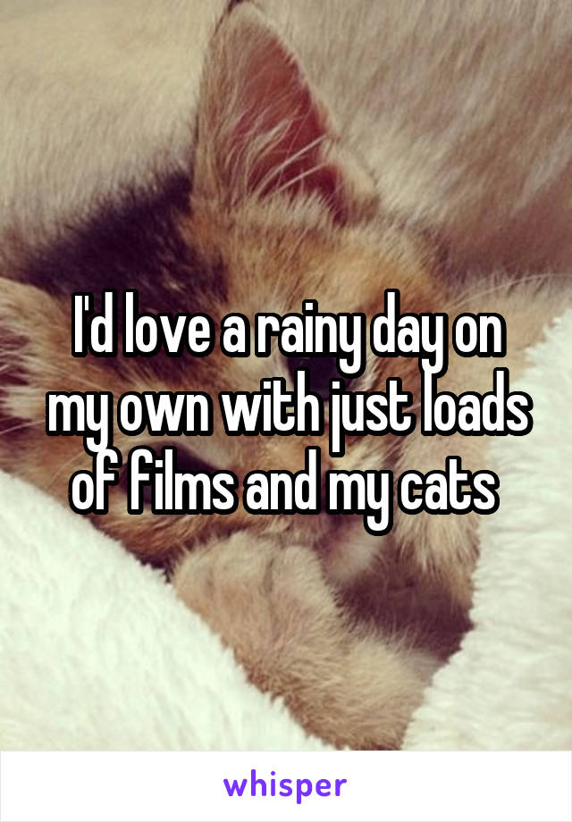I'd love a rainy day on my own with just loads of films and my cats 