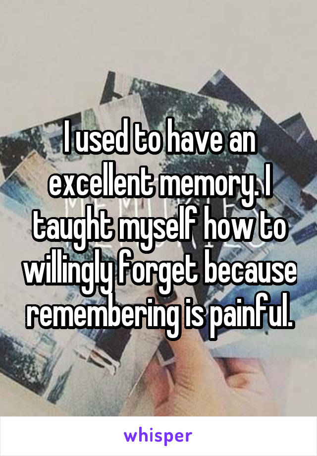 I used to have an excellent memory. I taught myself how to willingly forget because remembering is painful.