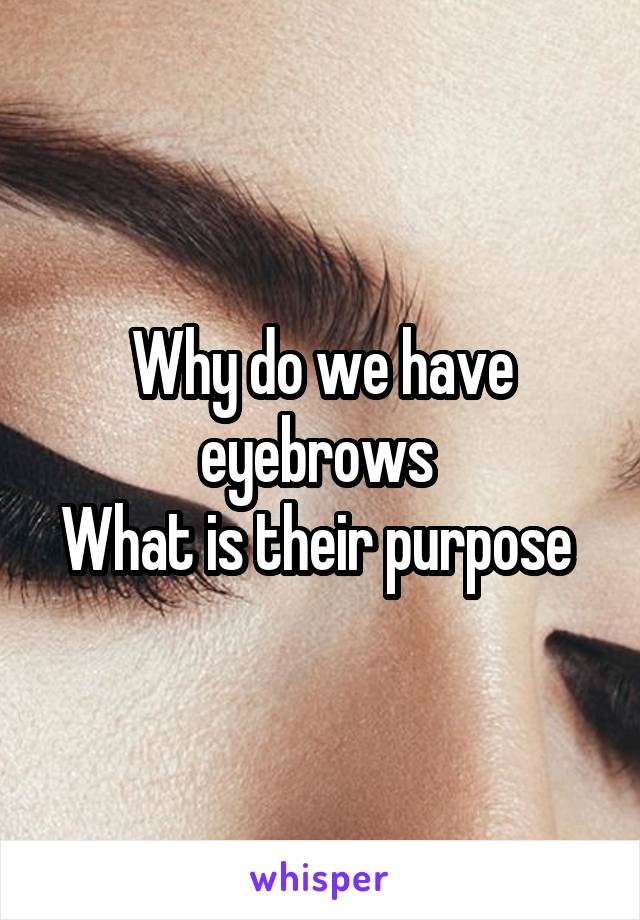 Why do we have eyebrows 
What is their purpose 