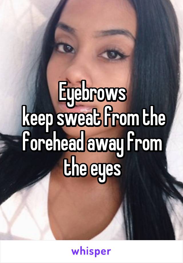 Eyebrows
 keep sweat from the forehead away from the eyes