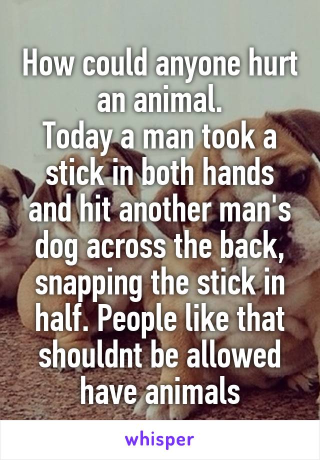 How could anyone hurt an animal.
Today a man took a stick in both hands and hit another man's dog across the back, snapping the stick in half. People like that shouldnt be allowed have animals