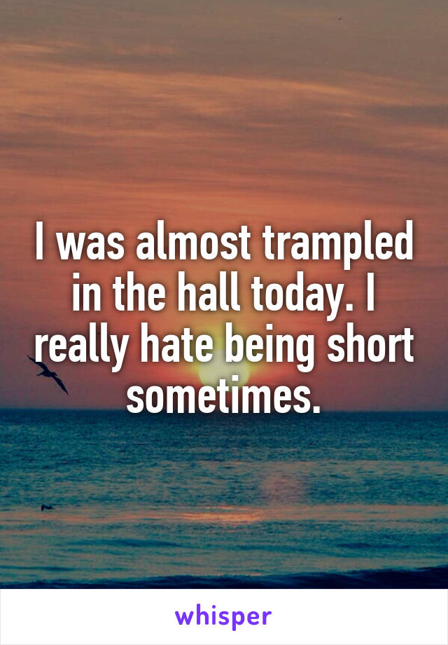 I was almost trampled in the hall today. I really hate being short sometimes.