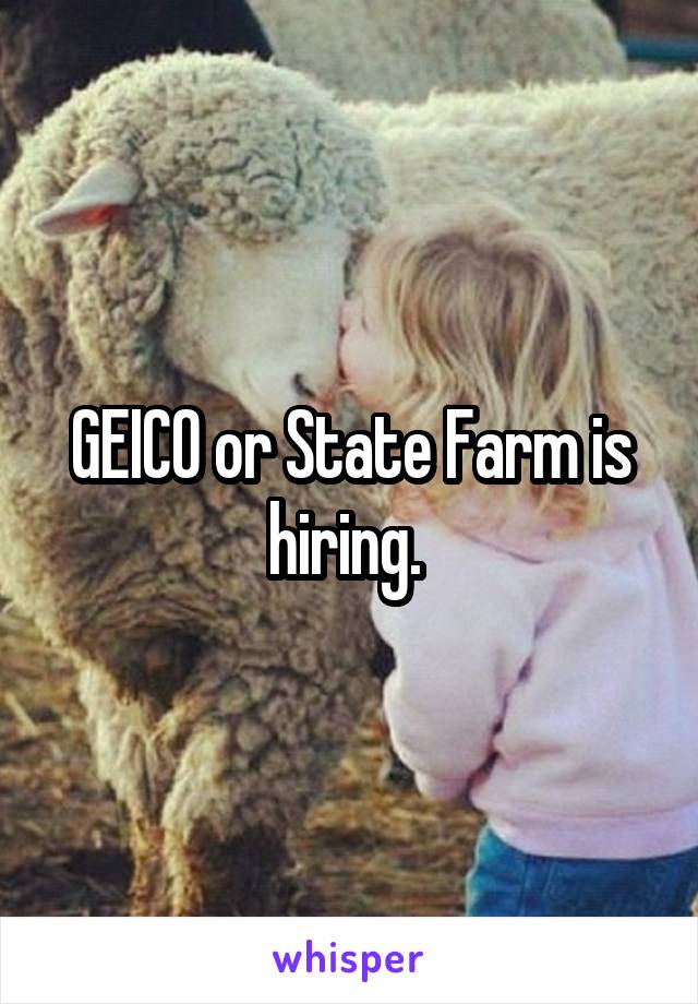 GEICO or State Farm is hiring. 