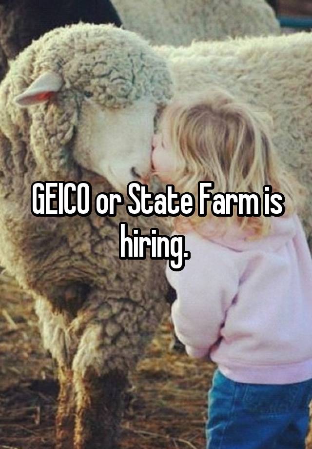 geico-or-state-farm-is-hiring