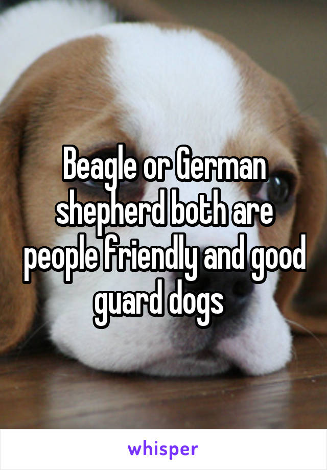 Beagle or German shepherd both are people friendly and good guard dogs  