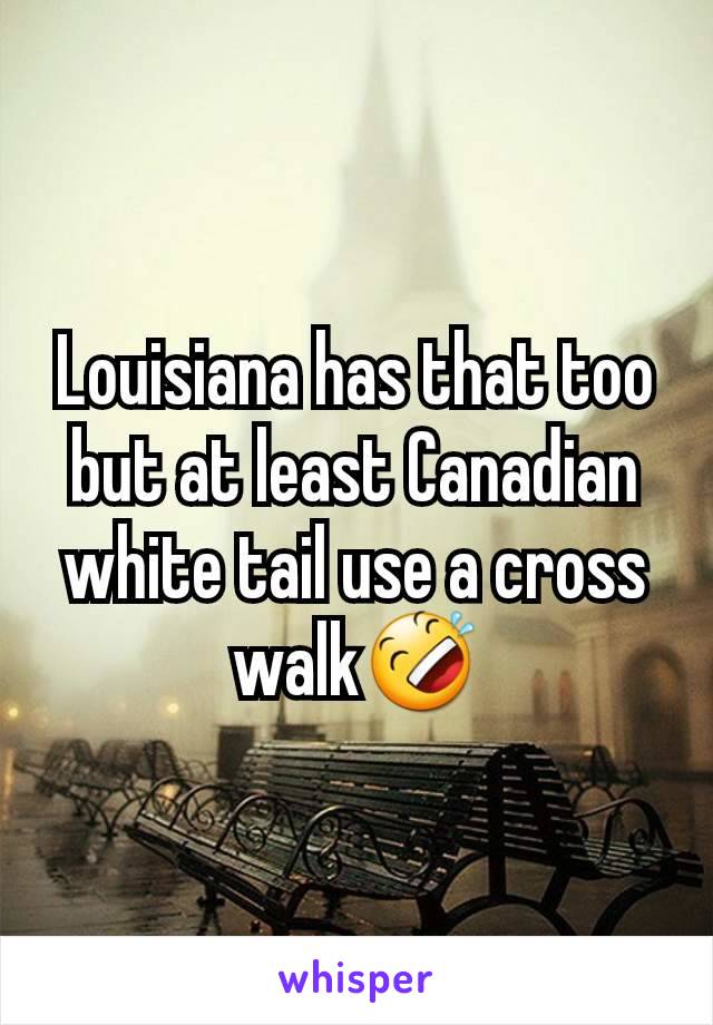 Louisiana has that too but at least Canadian white tail use a cross walk🤣