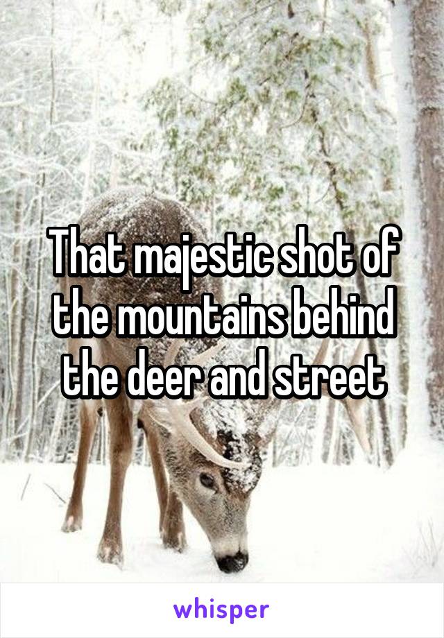 That majestic shot of the mountains behind the deer and street