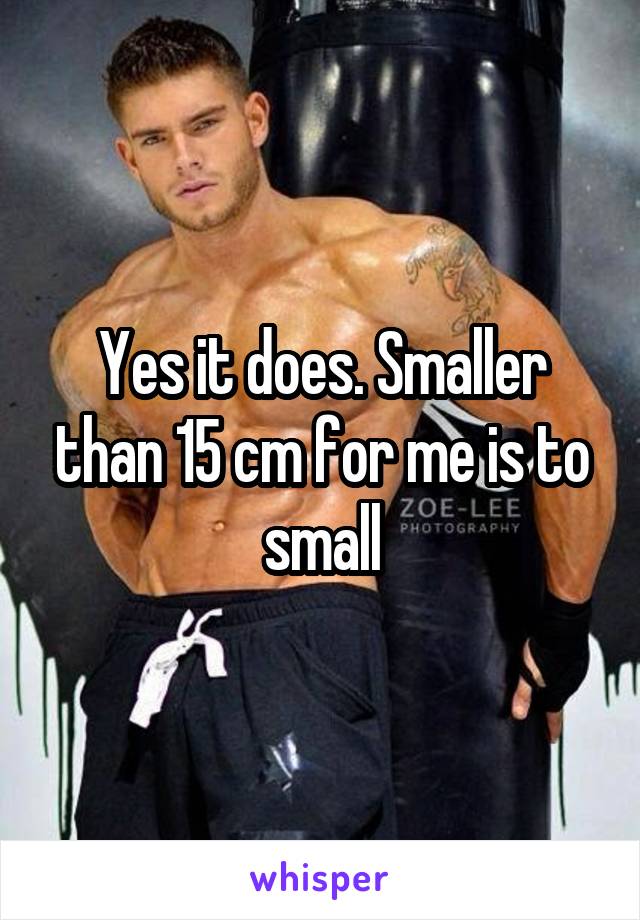 Yes it does. Smaller than 15 cm for me is to small
