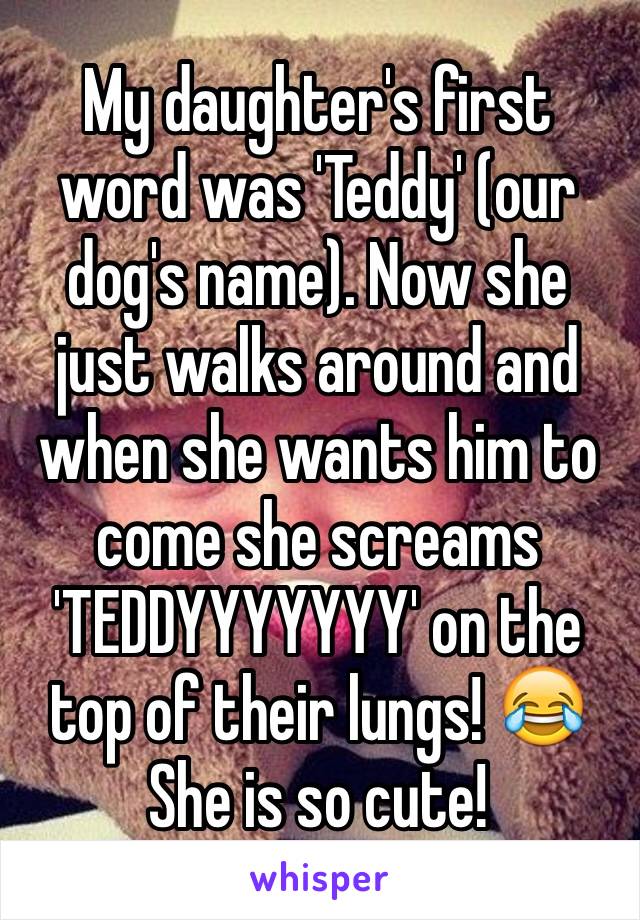 My daughter's first word was 'Teddy' (our dog's name). Now she just walks around and when she wants him to come she screams 
'TEDDYYYYYYY' on the top of their lungs! 😂
She is so cute!